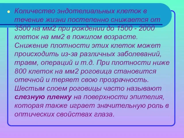 Количество эндотелиальных клеток в течение жизни постепенно снижается от 3500 на мм2