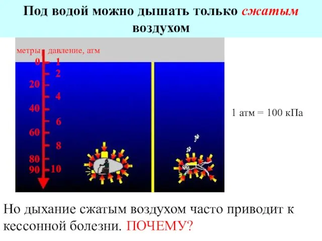 Под водой можно дышать только сжатым воздухом 1 атм = 100 кПа