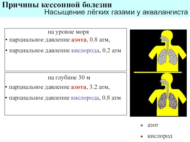 на уровне моря на глубине 30 м парциальное давление азота, 0.8 атм,