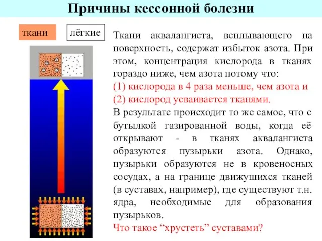 Ткани аквалангиста, всплывающего на поверхность, содержат избыток азота. При этом, концентрация кислорода