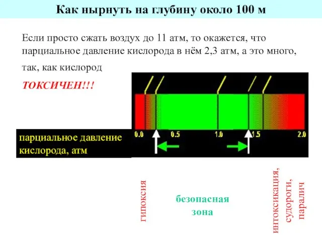 Как нырнуть на глубину около 100 м Если просто сжать воздух до