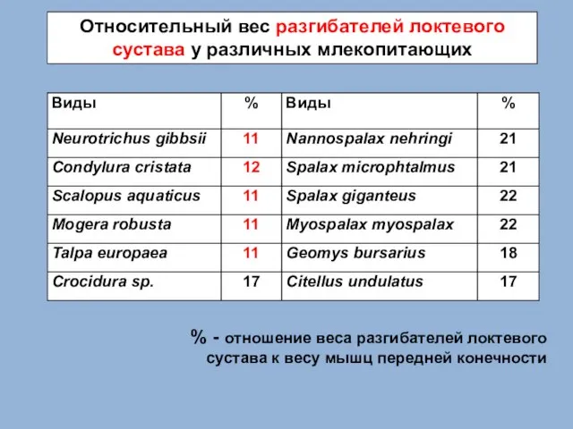 Относительный вес разгибателей локтевого сустава у различных млекопитающих % - oтношение веса