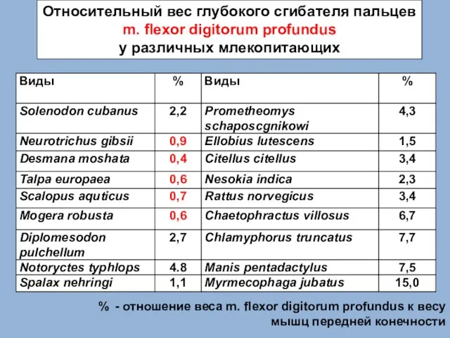 Относительный вес глубокого сгибателя пальцев m. flexor digitorum profundus у различных млекопитающих