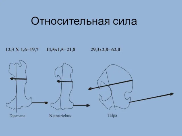 Относительная сила