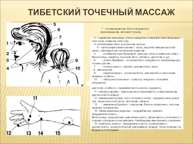 ТИБЕТСКИЙ ТОЧЕЧНЫЙ МАССАЖ 1 - головокружение, боли сосудистого происхождения, мочевой пузырь; 2