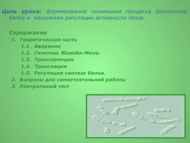 Цель урока: формирование понимания процесса биосинтеза белка и механизма регуляции активности генов.