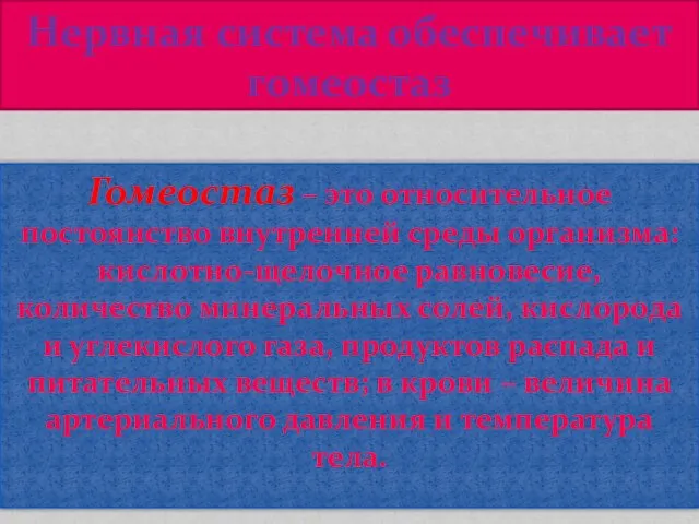 Гомеостаз – это относительное постоянство внутренней среды организма: кислотно-щелочное равновесие, количество минеральных