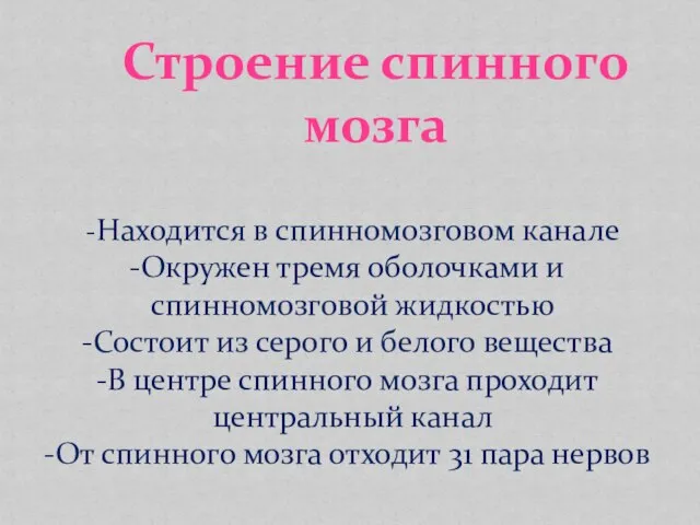 -Находится в спинномозговом канале Окружен тремя оболочками и спинномозговой жидкостью Состоит из