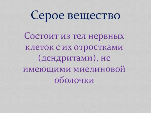 Серое вещество Состоит из тел нервных клеток с их отростками (дендритами), не имеющими миелиновой оболочки