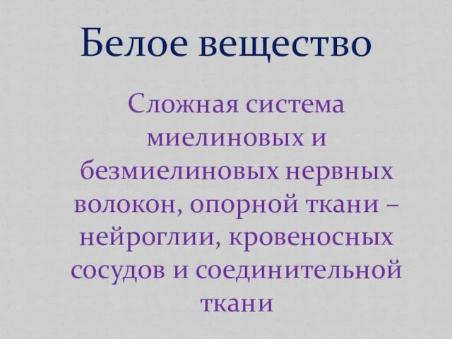 Белое вещество Сложная система миелиновых и безмиелиновых нервных волокон, опорной ткани –