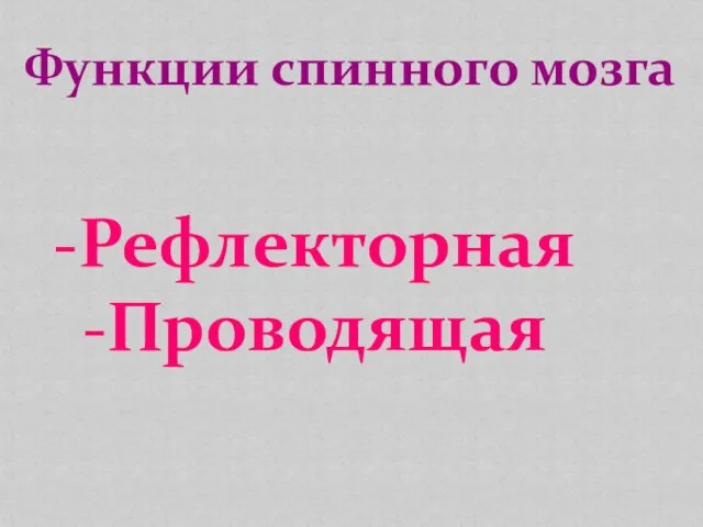 Функции спинного мозга Рефлекторная Проводящая