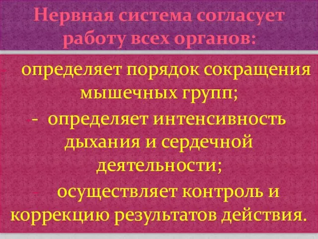 определяет порядок сокращения мышечных групп; - определяет интенсивность дыхания и сердечной деятельности;