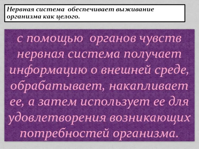 с помощью органов чувств нервная система получает информацию о внешней среде, обрабатывает,