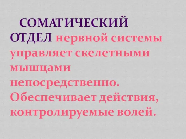 СОМАТИЧЕСКИЙ ОТДЕЛ нервной системы управляет скелетными мышцами непосредственно. Обеспечивает действия, контролируемые волей.