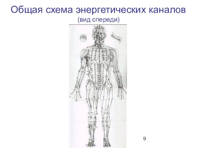 Общая схема энергетических каналов (вид спереди)