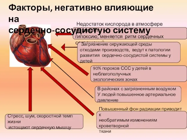 90% пороков ССС у детей в неблагополучных экологических зонах Недостаток кислорода в