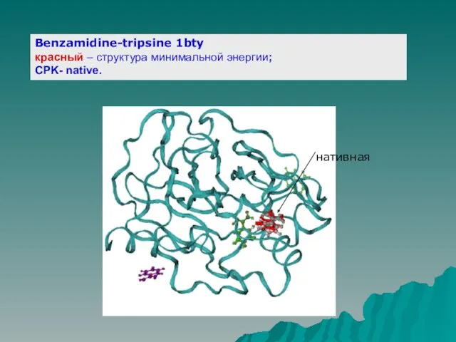 Benzamidine-tripsine 1bty красный – структура минимальной энергии; CPK- native. нативная