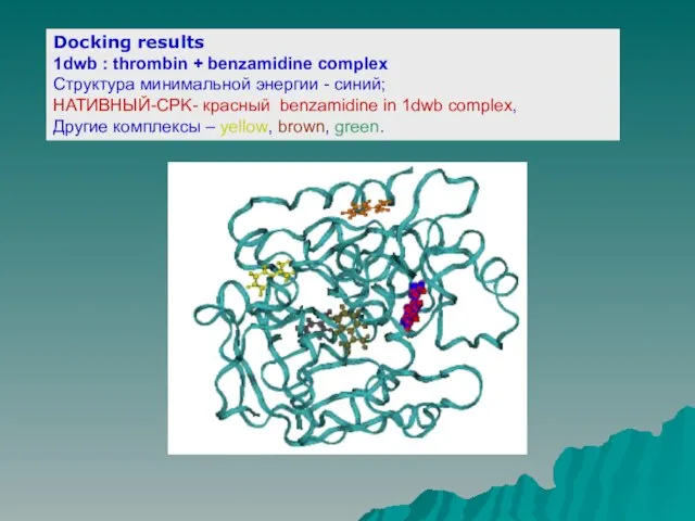 Docking results 1dwb : thrombin + benzamidine complex Структура минимальной энергии -