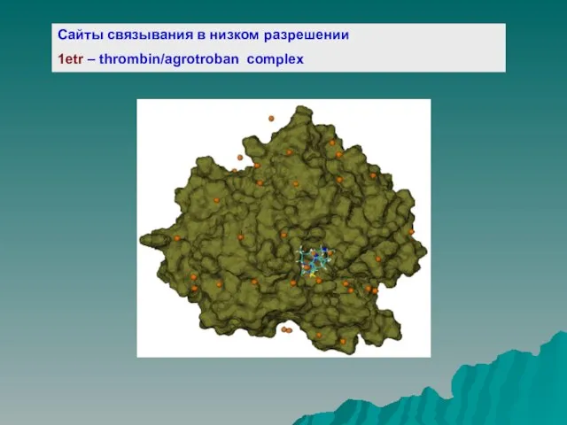 Сайты связывания в низком разрешении 1etr – thrombin/agrotroban complex