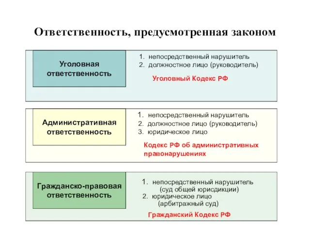 Ответственность, предусмотренная законом Уголовная ответственность непосредственный нарушитель должностное лицо (руководитель) Уголовный Кодекс