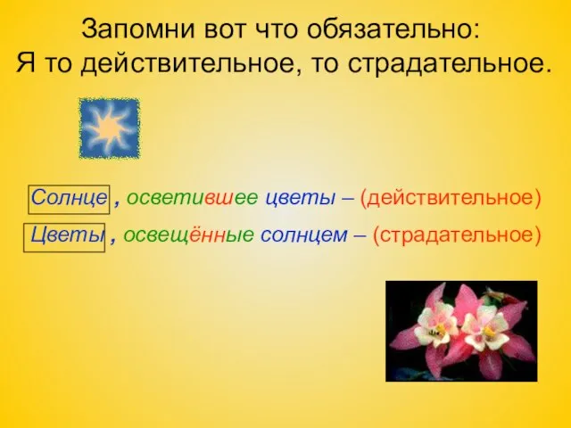 Запомни вот что обязательно: Я то действительное, то страдательное. Солнце , осветившее