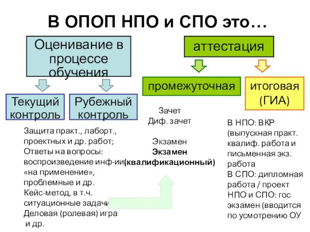 В ОПОП НПО и СПО это…