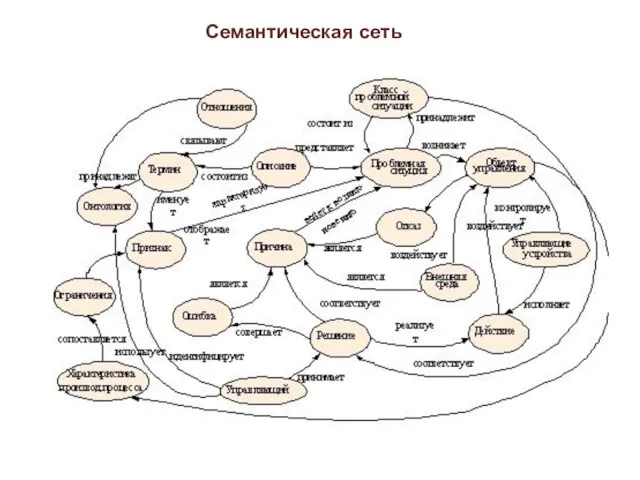 Семантическая сеть