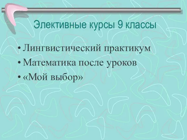 Элективные курсы 9 классы Лингвистический практикум Математика после уроков «Мой выбор»