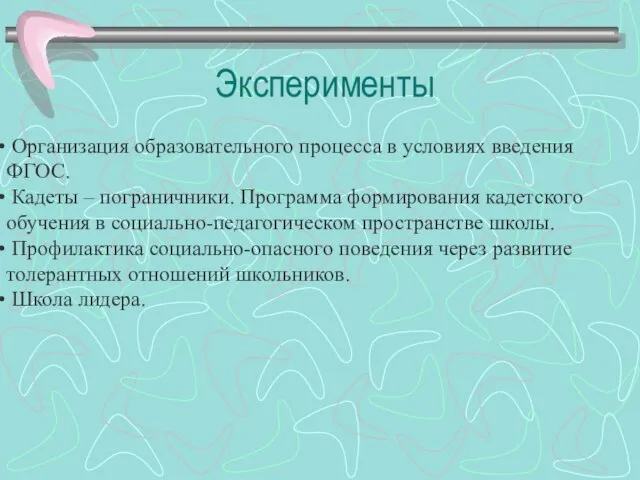 Организация образовательного процесса в условиях введения ФГОС. Кадеты – пограничники. Программа формирования