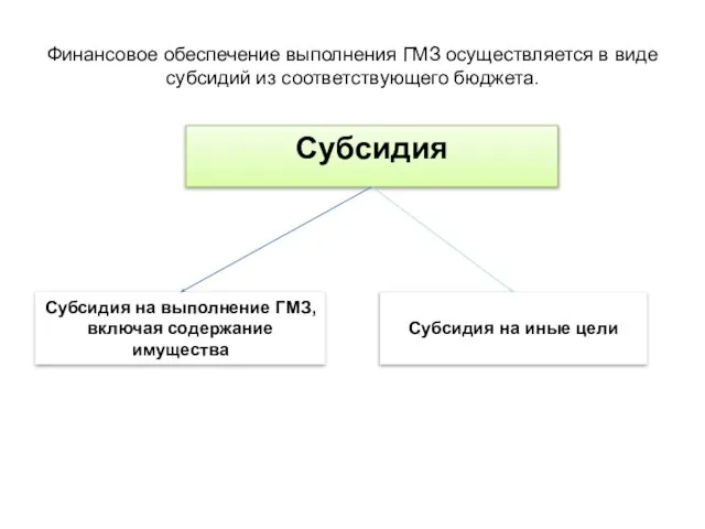 Финансовое обеспечение выполнения ГМЗ осуществляется в виде субсидий из соответствующего бюджета. Субсидия