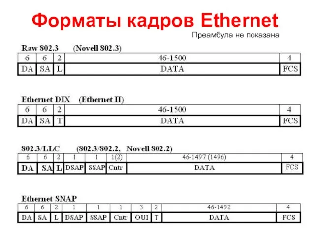 Форматы кадров Ethernet Преамбула не показана