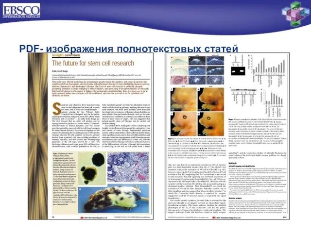 PDF- изображения полнотекстовых статей