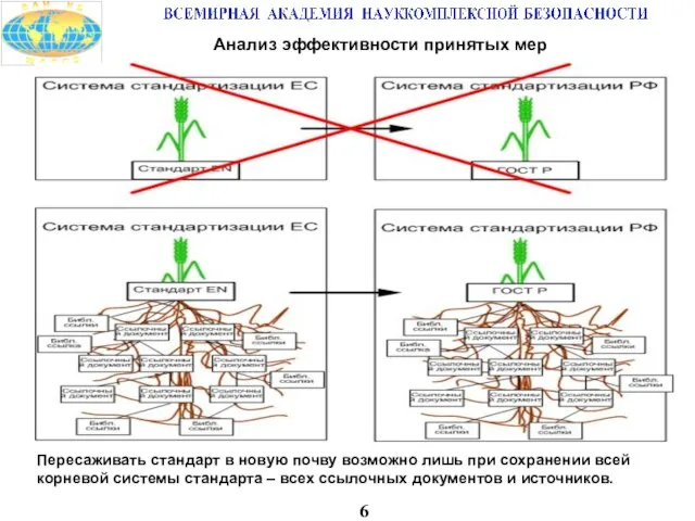 6 Анализ эффективности принятых мер Пересаживать стандарт в новую почву возможно лишь