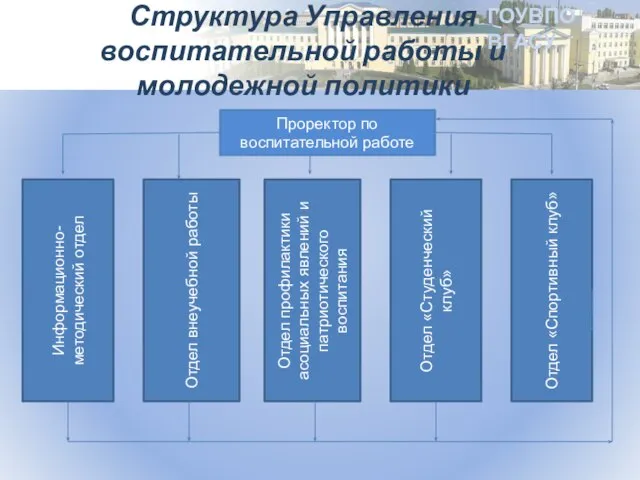 ГОУВПО ВГАСУ Структура Управления воспитательной работы и молодежной политики Проректор по воспитательной