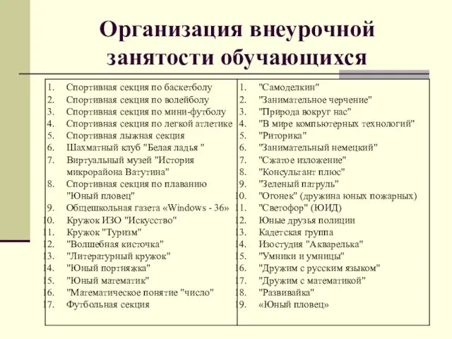 Организация внеурочной занятости обучающихся