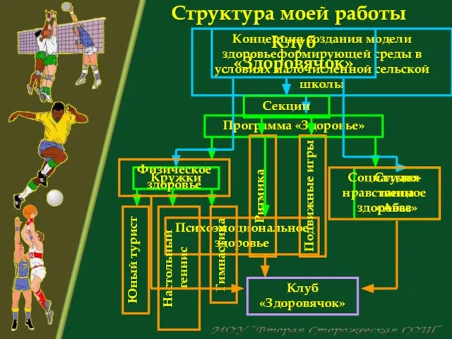 Клуб «Здоровячок» Студия танца «Абаз» Юный турист Настольный теннис Гимнастика Ритмика Подвижные игры Структура моей работы