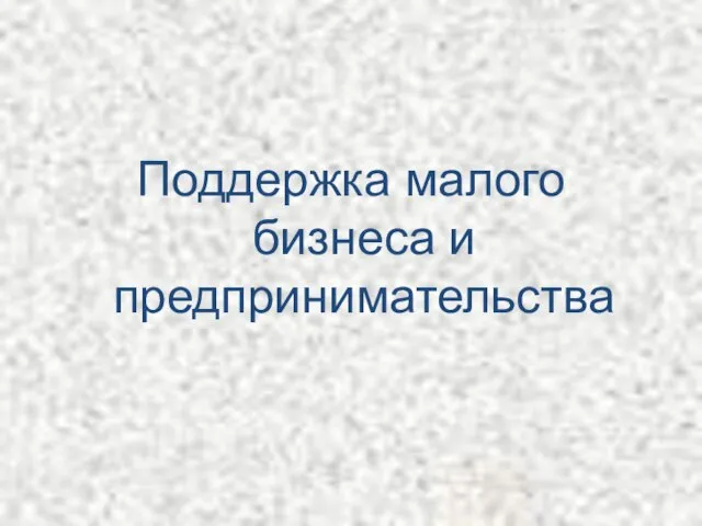 Поддержка малого бизнеса и предпринимательства