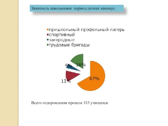 Занятость школьников период летних каникул Всего оздоровления прошли 183 учащихся