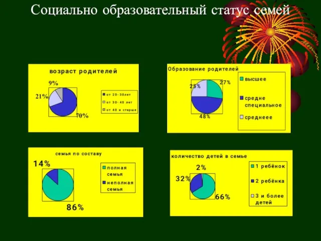 Социально образовательный статус семей