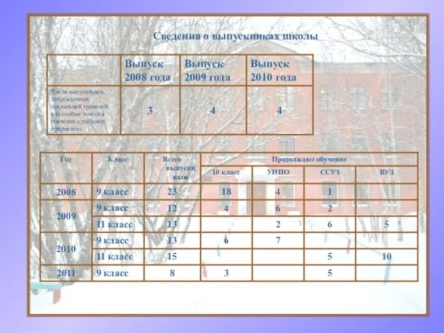 Сведения о выпускниках школы