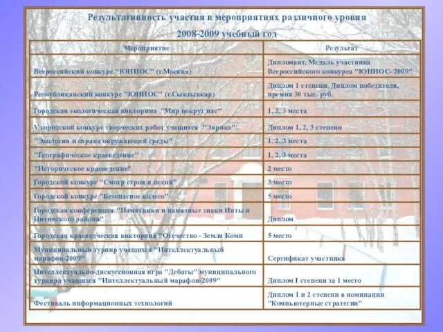 Результативность участия в мероприятиях различного уровня 2008-2009 учебный год