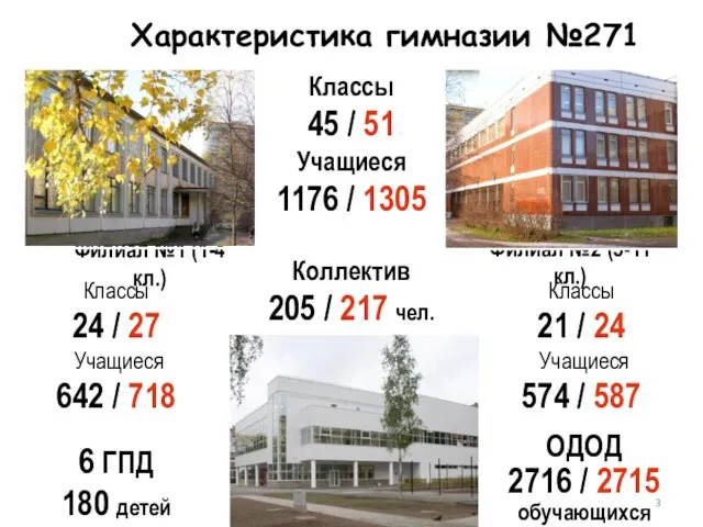 Характеристика гимназии №271 Классы 24 / 27 Учащиеся 642 / 718 Филиал