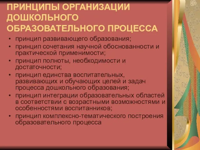 ПРИНЦИПЫ ОРГАНИЗАЦИИ ДОШКОЛЬНОГО ОБРАЗОВАТЕЛЬНОГО ПРОЦЕССА принцип развивающего образования; принцип сочетания научной обоснованности