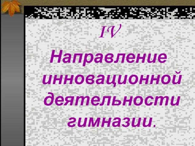 IV Направление инновационной деятельности гимназии.