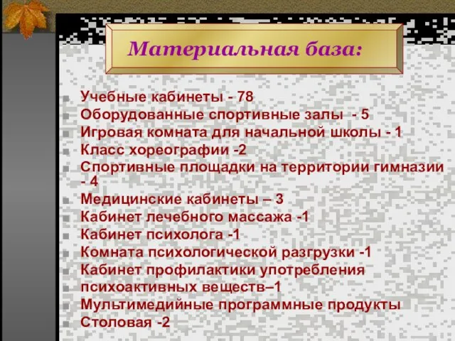 Материальная база: Учебные кабинеты - 78 Оборудованные спортивные залы - 5 Игровая