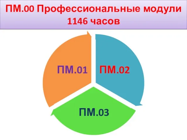 ПМ.00 Профессиональные модули 1146 часов