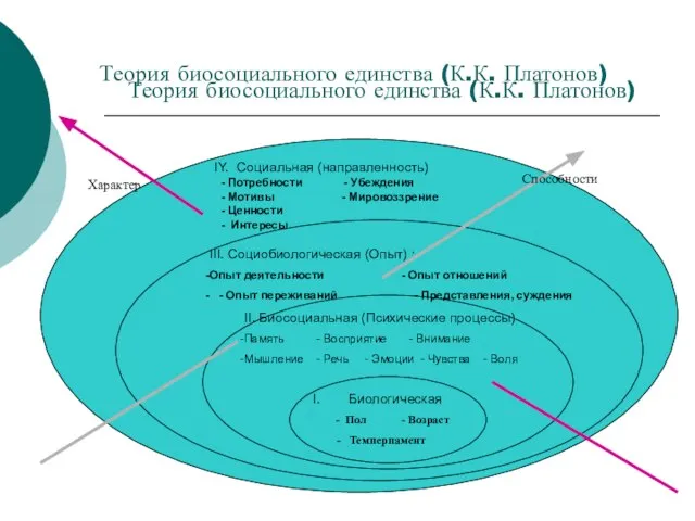 Теория биосоциального единства (К.К. Платонов) Теория биосоциального единства (К.К. Платонов) IY. Социальная