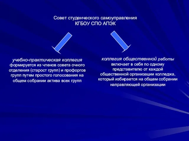 Совет студенческого самоуправления КГБОУ СПО АПЭК учебно-практическая коллегия формируется из членов совета