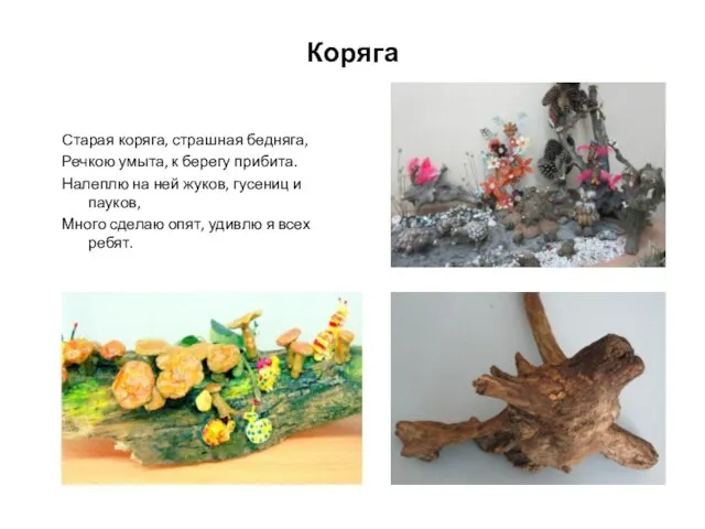 Коряга Старая коряга, страшная бедняга, Речкою умыта, к берегу прибита. Налеплю на