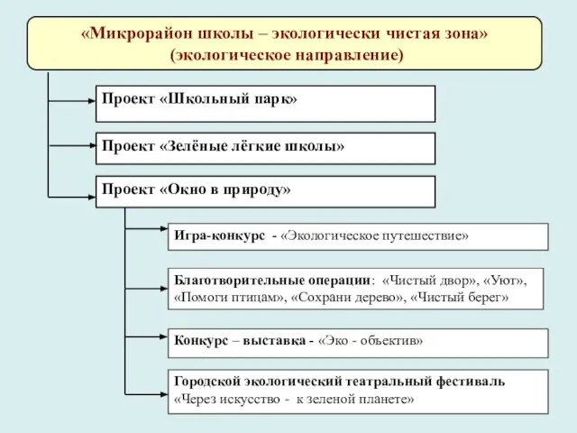 «Микрорайон школы – экологически чистая зона» (экологическое направление) Проект «Школьный парк» Проект